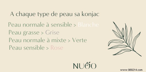 How to Use a Konjac Sponge: Expert Guide to Clearer, Healthier Skin