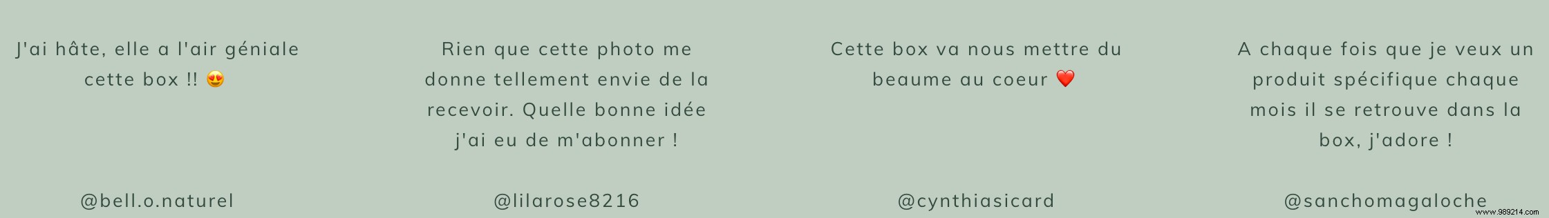 Gift the Ultimate Christmas Surprise: A 12-Month Organic Beauty Box Subscription