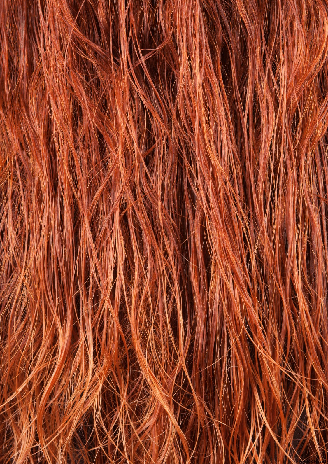 Preventing Seasonal Hair Loss: Expert Tips for Healthier Hair Year-Round