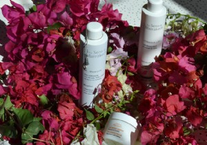 Autumn Skincare Essentials: Natural Products for Balanced, Protected Skin