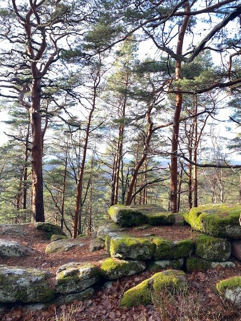 Bilan de fin d année : une année transformative en famille, au travail et personnellement