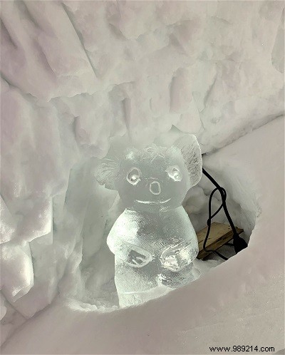 Family Skiing in Oisans: My Insider Guide to Vaujany and Alpe d Huez