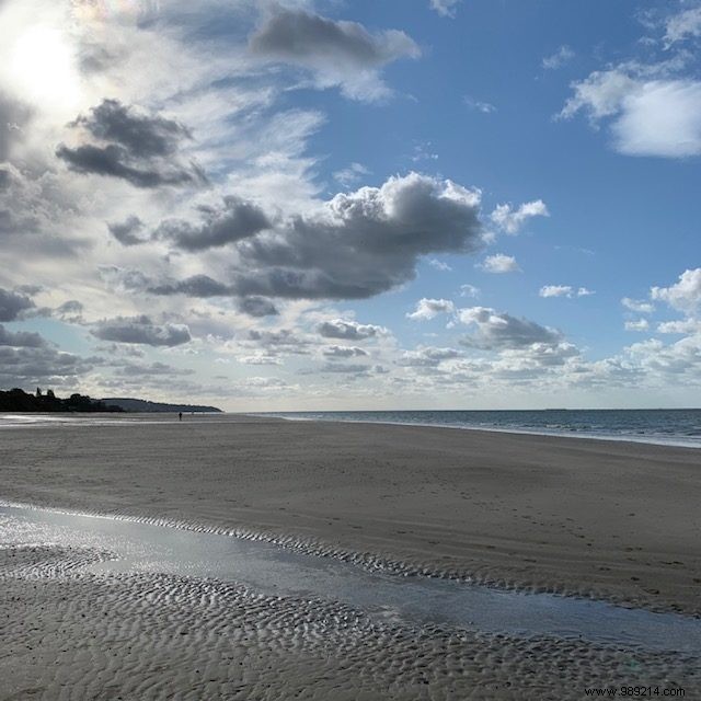 Behind the Scenes: A Parisian Family s Back-to-School Reality in 2020