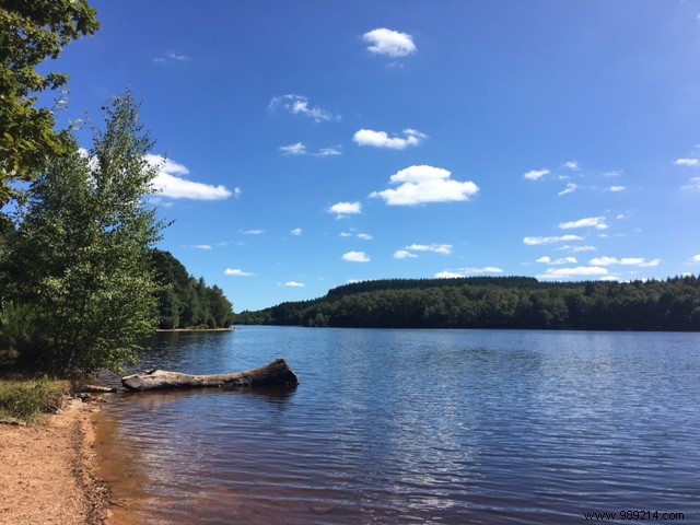 Family Escape to Avallon and Lac de Saint-Agnan: A Serene Getaway 2 Hours from Paris