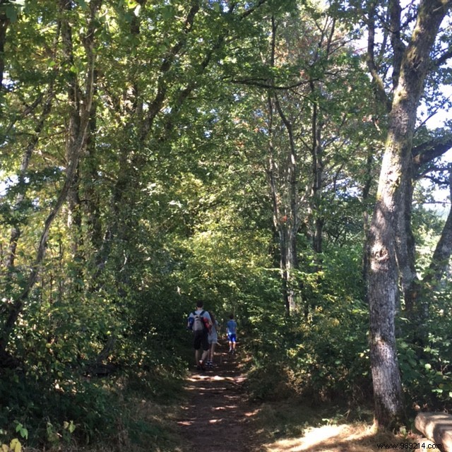 Family Escape to Avallon and Lac de Saint-Agnan: A Serene Getaway 2 Hours from Paris