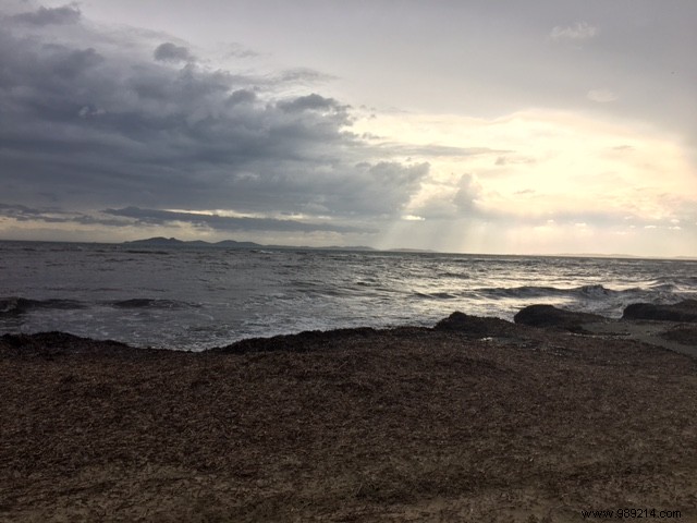 Family Escape South: Fresh Air, Remote Work, and Beach Adventures During Holidays