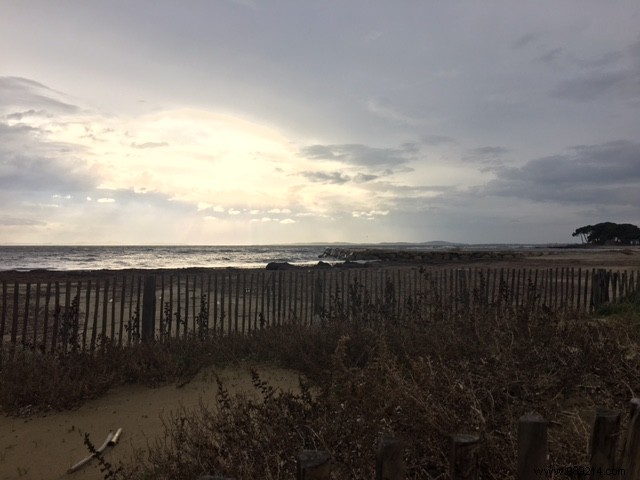 Family Escape South: Fresh Air, Remote Work, and Beach Adventures During Holidays