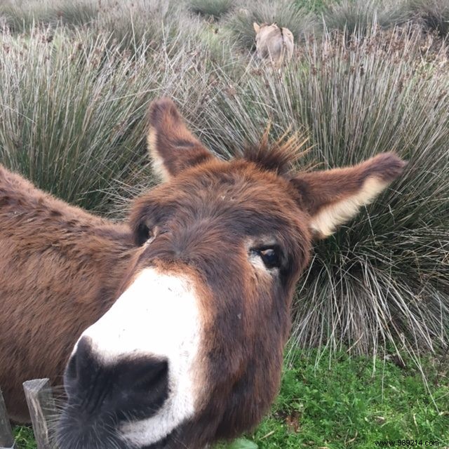 Family Escape South: Fresh Air, Remote Work, and Beach Adventures During Holidays