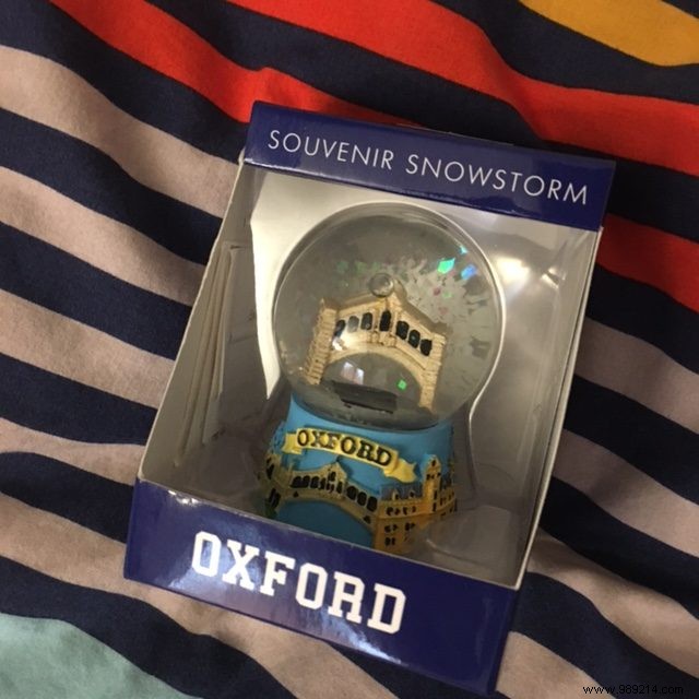 The Heartwarming Tale of a Broken Snow Globe and Sibling Forgiveness