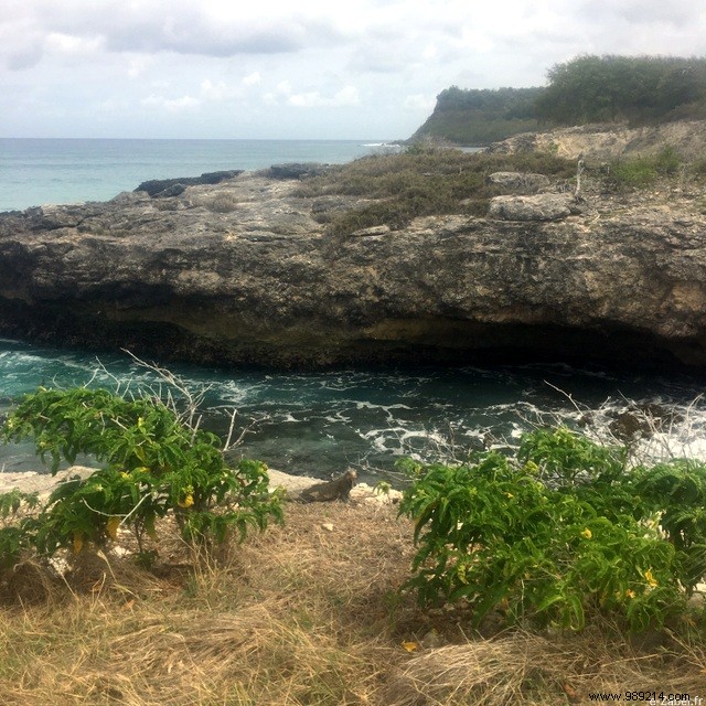 A Blissful Escape: 4 Days of Paradise in Guadeloupe