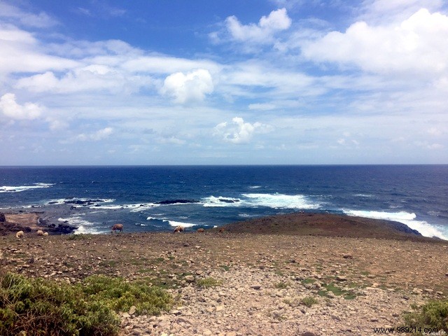 A Blissful Escape: 4 Days of Paradise in Guadeloupe