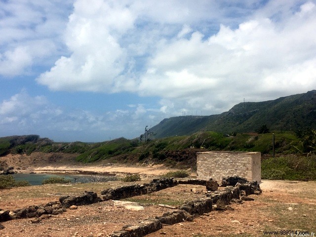 A Blissful Escape: 4 Days of Paradise in Guadeloupe