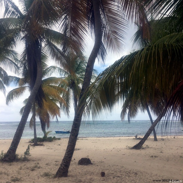 A Blissful Escape: 4 Days of Paradise in Guadeloupe