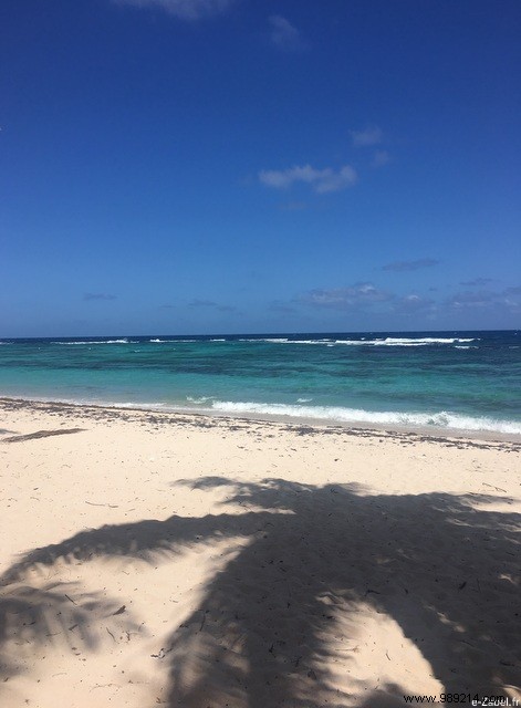 A Blissful Escape: 4 Days of Paradise in Guadeloupe