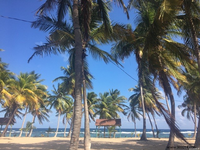 A Blissful Escape: 4 Days of Paradise in Guadeloupe