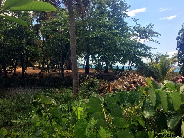 A Blissful Escape: 4 Days of Paradise in Guadeloupe