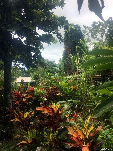 A Blissful Escape: 4 Days of Paradise in Guadeloupe