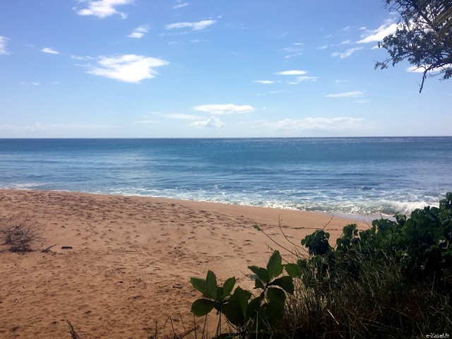 A Blissful Escape: 4 Days of Paradise in Guadeloupe