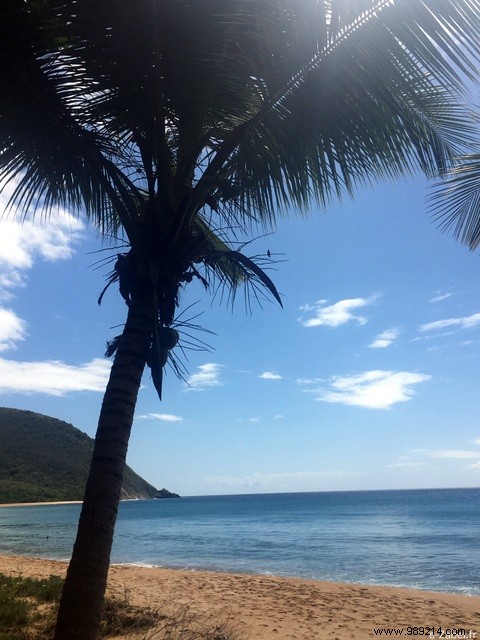 A Blissful Escape: 4 Days of Paradise in Guadeloupe