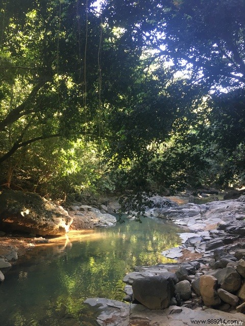 A Blissful Escape: 4 Days of Paradise in Guadeloupe