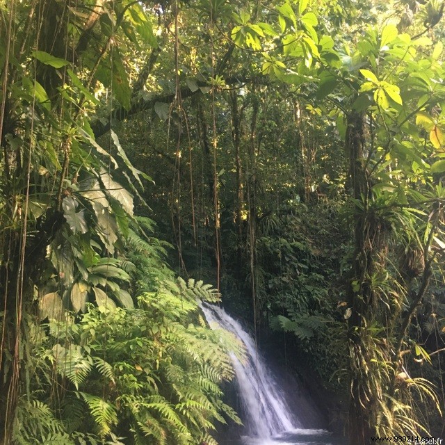 A Blissful Escape: 4 Days of Paradise in Guadeloupe