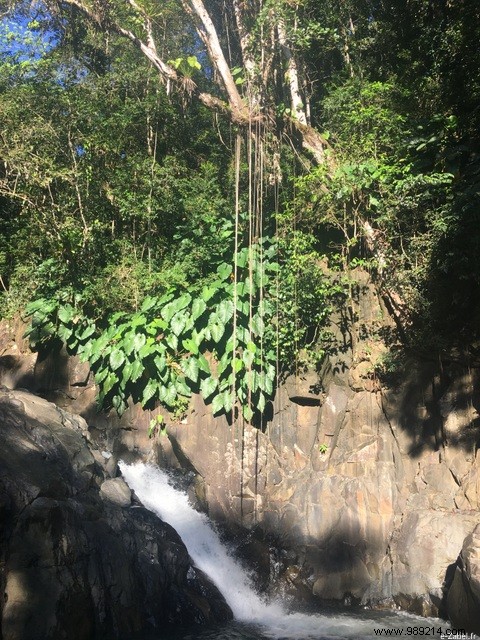 A Blissful Escape: 4 Days of Paradise in Guadeloupe