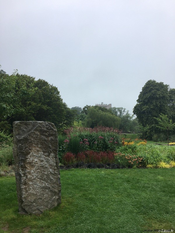 Family Road Trip in Ireland: Our 9-Day Itinerary, B&Bs, and Honest Tips