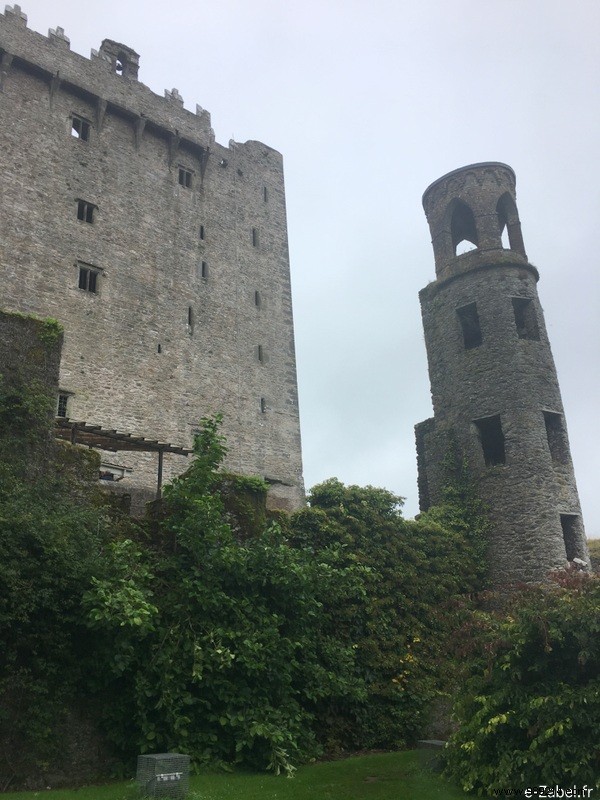 Family Road Trip in Ireland: Our 9-Day Itinerary, B&Bs, and Honest Tips