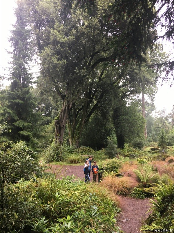 Family Road Trip in Ireland: Our 9-Day Itinerary, B&Bs, and Honest Tips