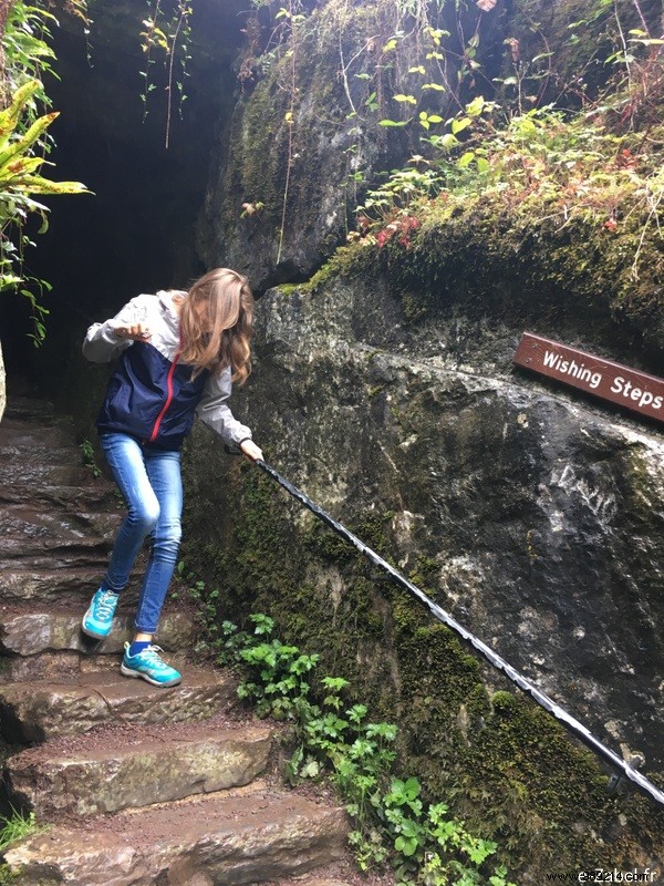 Family Road Trip in Ireland: Our 9-Day Itinerary, B&Bs, and Honest Tips