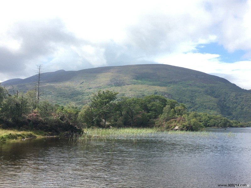 Family Road Trip in Ireland: Our 9-Day Itinerary, B&Bs, and Honest Tips