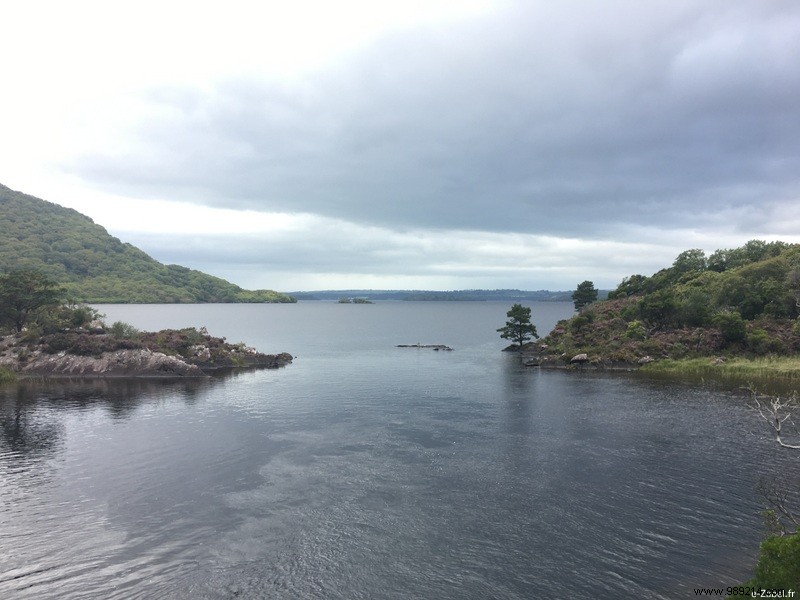 Family Road Trip in Ireland: Our 9-Day Itinerary, B&Bs, and Honest Tips