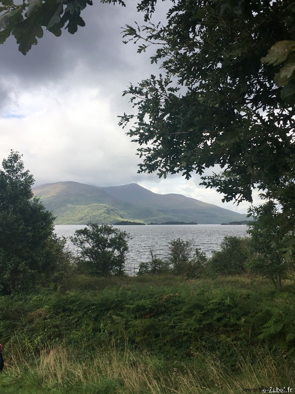 Family Road Trip in Ireland: Our 9-Day Itinerary, B&Bs, and Honest Tips