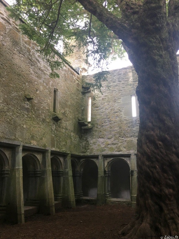 Family Road Trip in Ireland: Our 9-Day Itinerary, B&Bs, and Honest Tips