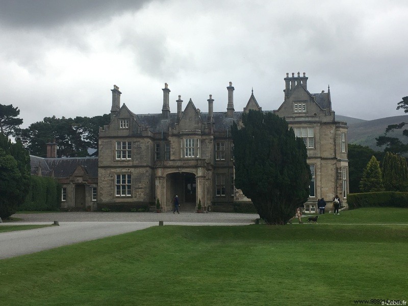 Family Road Trip in Ireland: Our 9-Day Itinerary, B&Bs, and Honest Tips