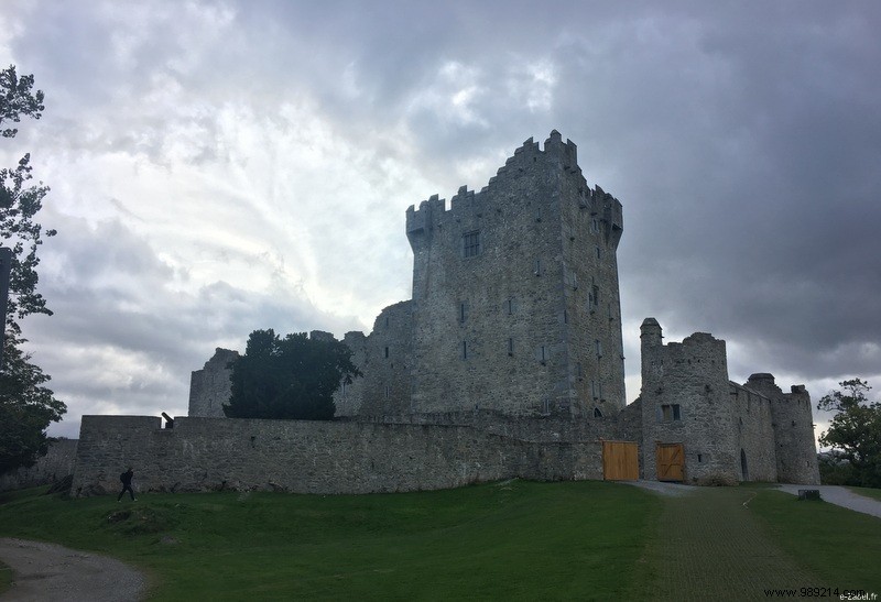 Family Road Trip in Ireland: Our 9-Day Itinerary, B&Bs, and Honest Tips