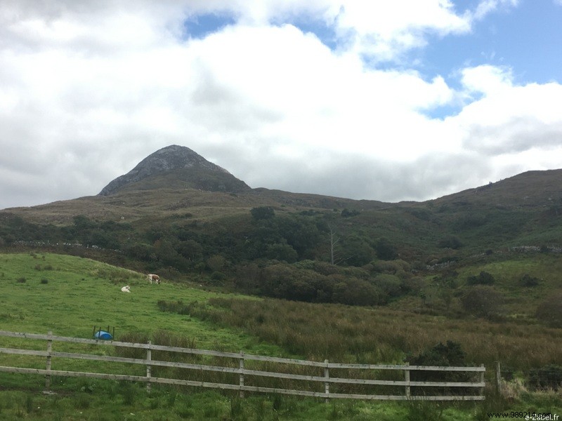 Family Road Trip in Ireland: Our 9-Day Itinerary, B&Bs, and Honest Tips