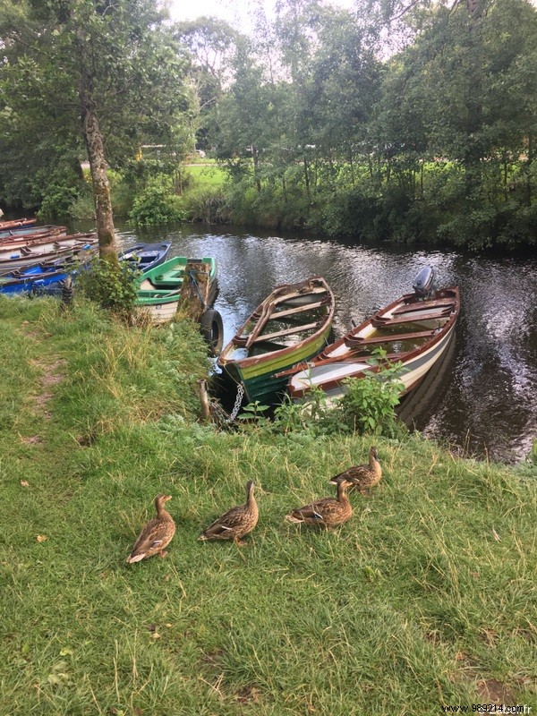 Family Road Trip in Ireland: Our 9-Day Itinerary, B&Bs, and Honest Tips