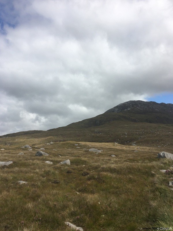 Family Road Trip in Ireland: Our 9-Day Itinerary, B&Bs, and Honest Tips