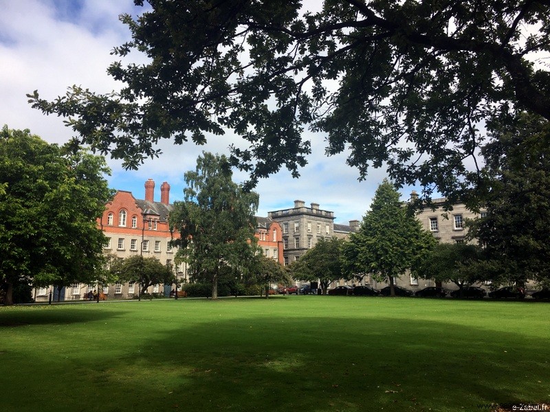 Family Road Trip in Ireland: Our 9-Day Itinerary, B&Bs, and Honest Tips