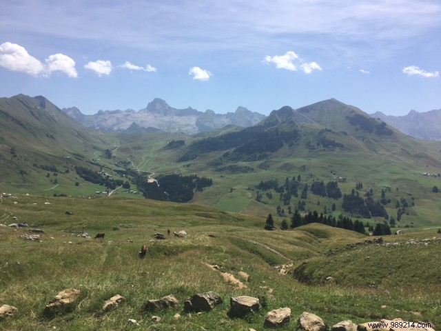 Back to Reality: My Rejuvenating Child-Free Summer Vacation Flashback