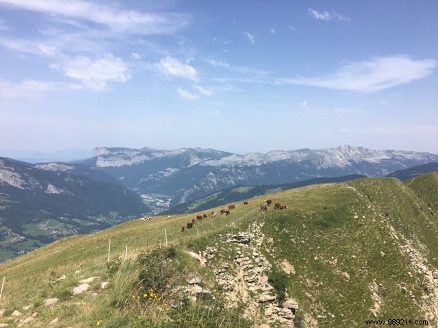 Back to Reality: My Rejuvenating Child-Free Summer Vacation Flashback