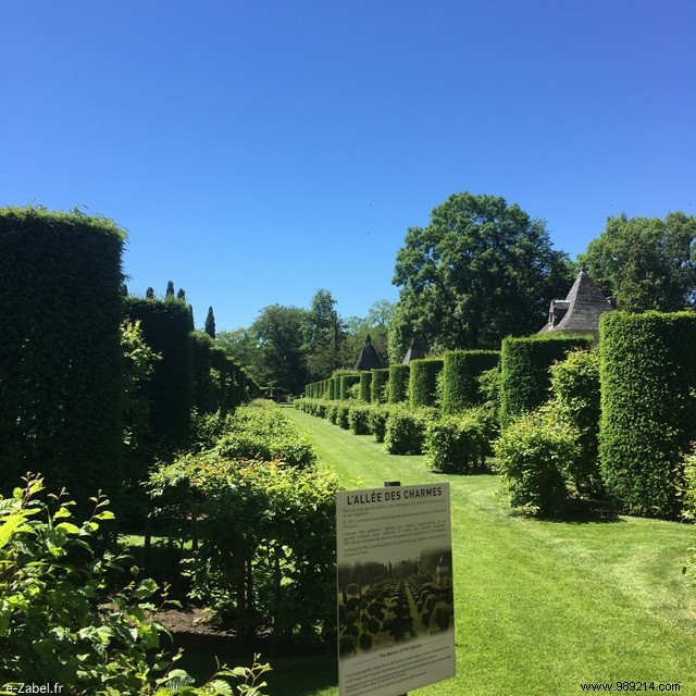 Family Guide to Périgord: Our Proven Dordogne Itinerary from Three Visits