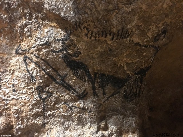 Family Guide to Périgord: Our Proven Dordogne Itinerary from Three Visits