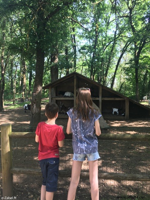 Family Guide to Périgord: Our Proven Dordogne Itinerary from Three Visits