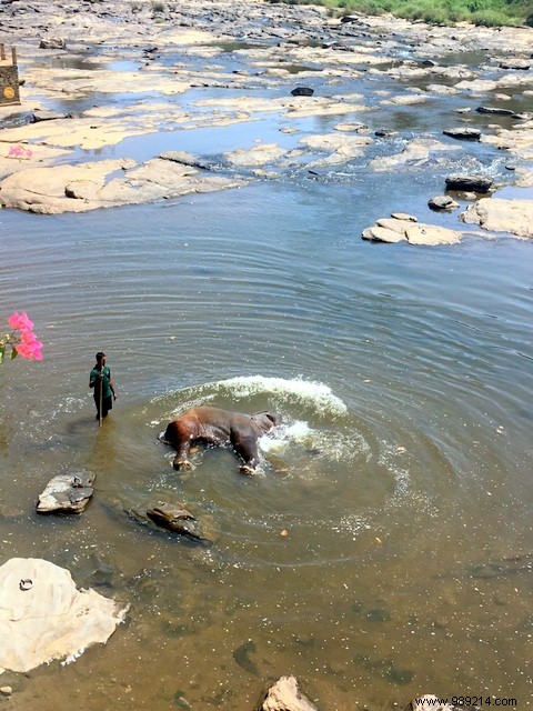 Family Trip to Sri Lanka: Honest Itinerary, Tips, and Recommendations from Real Parents