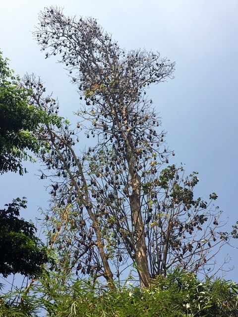 Family Trip to Sri Lanka: Honest Itinerary, Tips, and Recommendations from Real Parents