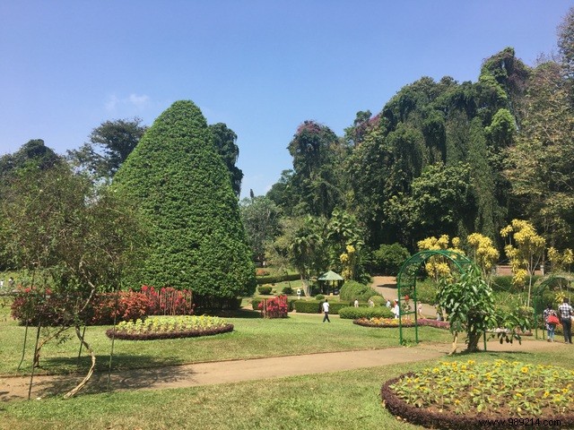 Family Trip to Sri Lanka: Honest Itinerary, Tips, and Recommendations from Real Parents