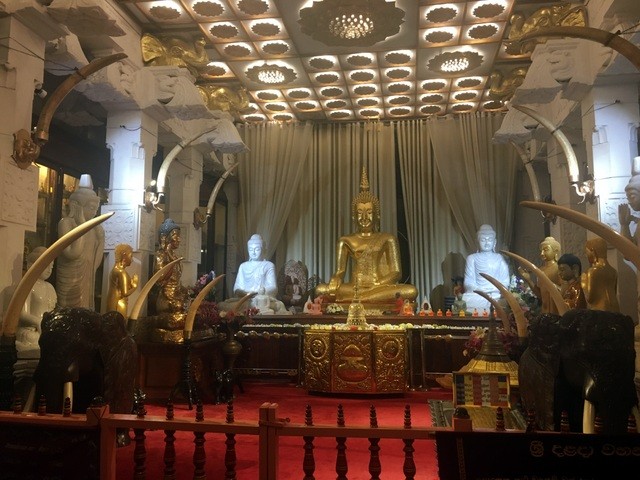 Family Trip to Sri Lanka: Honest Itinerary, Tips, and Recommendations from Real Parents