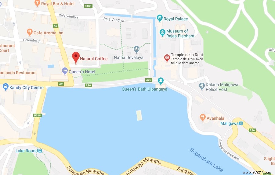 Family Trip to Sri Lanka: Honest Itinerary, Tips, and Recommendations from Real Parents